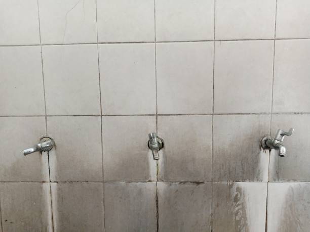 Best Emergency water damage restoration  in Minorca, LA