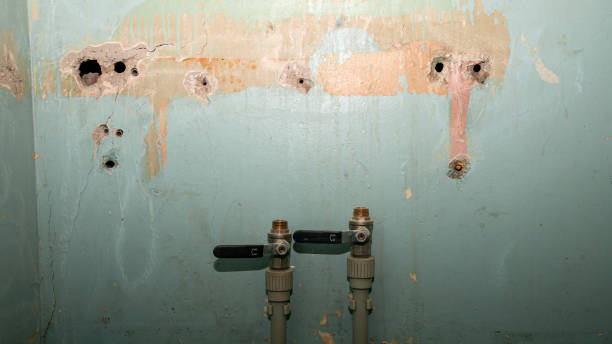 Best Ceiling water damage repair  in Minorca, LA
