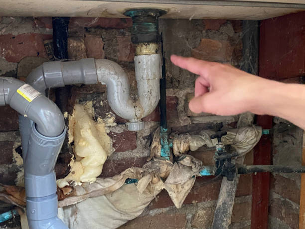 Best Sewage cleanup and water damage restoration  in Minorca, LA