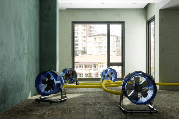 Best Commercial water damage restoration  in Minorca, LA