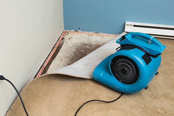 Best Water damage restoration near me  in Minorca, LA